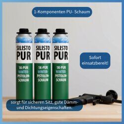 1K Winter Pistolenschaum Set