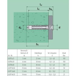 Universele Pluggen 6 x 30 mm – 100 Stuks