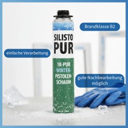 PUR 1K Winter Pistolenschaum B2