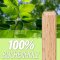 Houten deuvels assortiment 200-delig