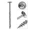 Tellerkopschroeven verzinkt Torx 25